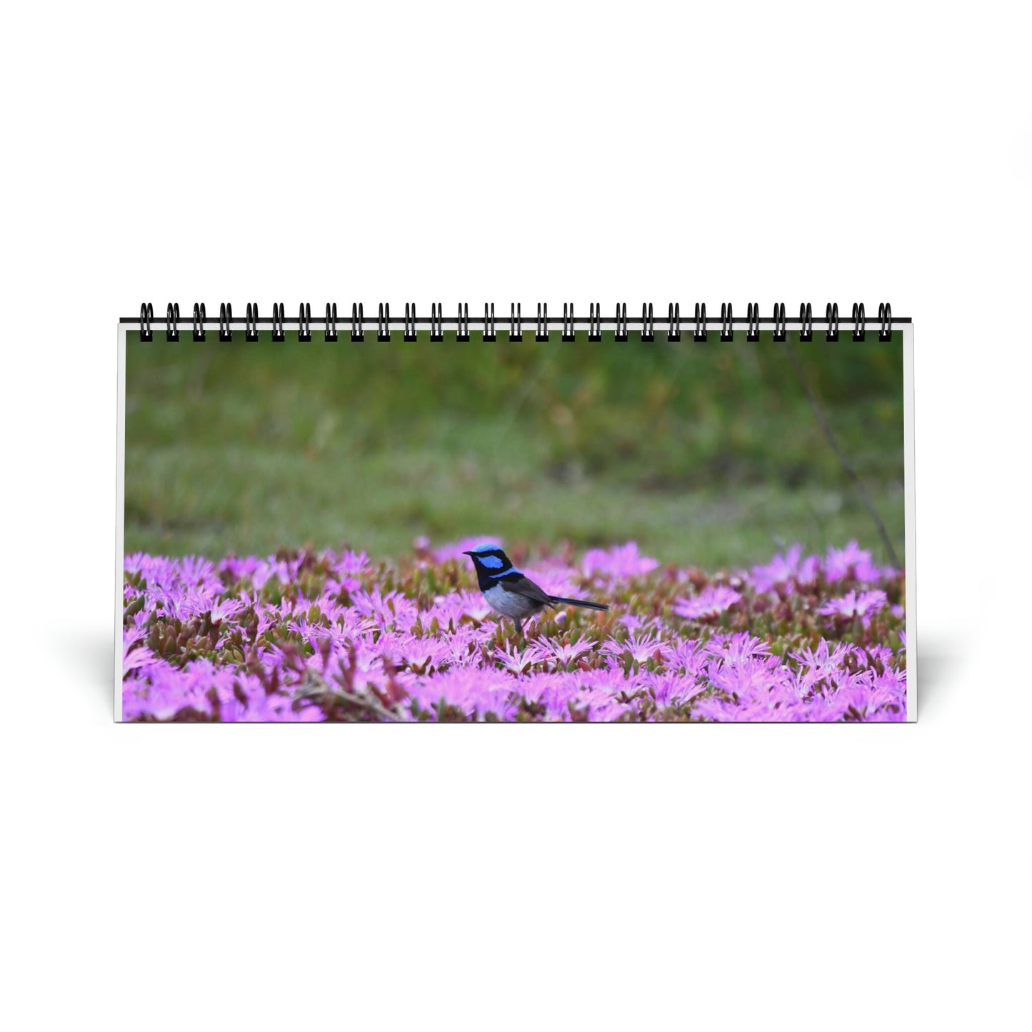 Australian Birds Desktop Calendar (2024 Grid Design)