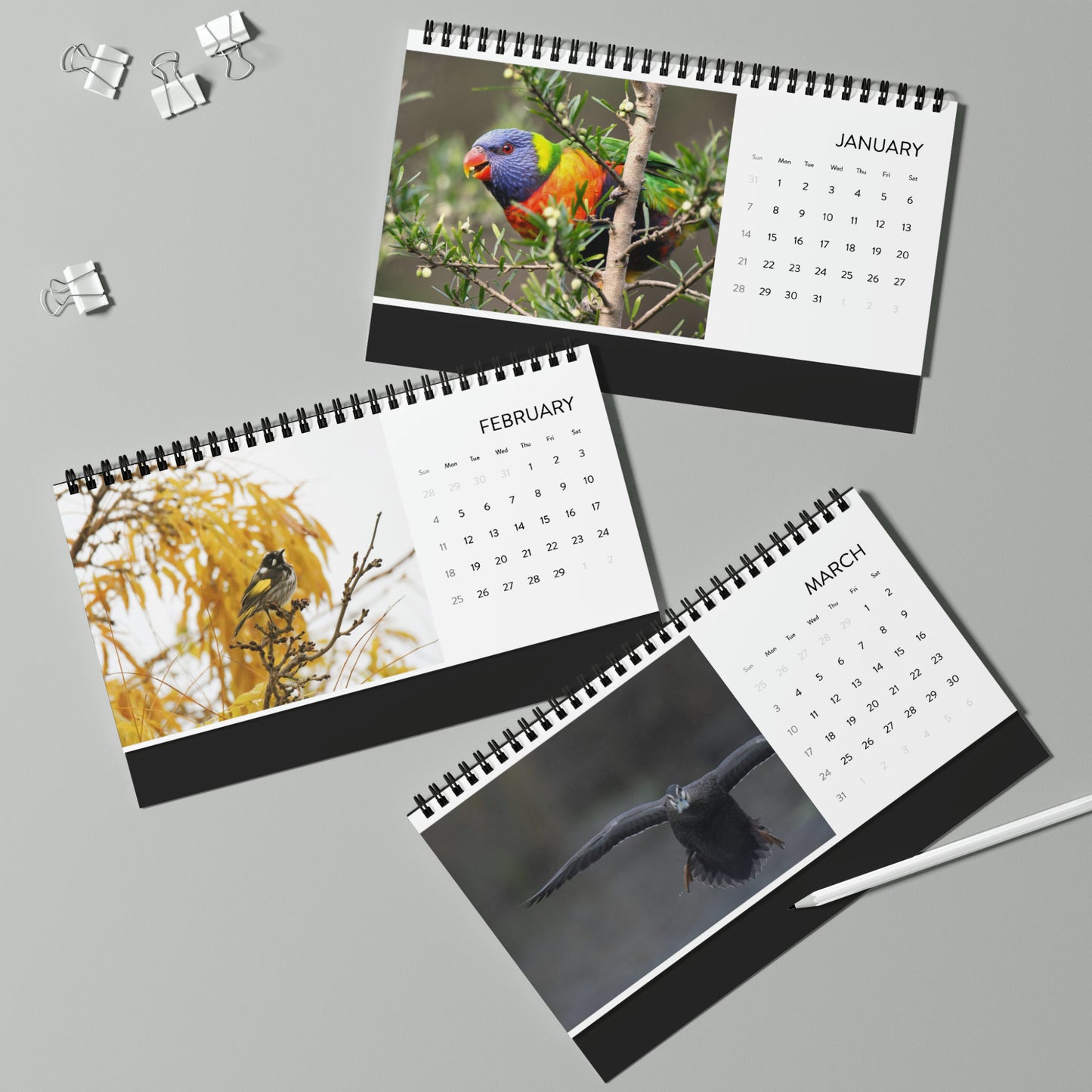 Australian Birds Desktop Calendar (2024 Grid Design)